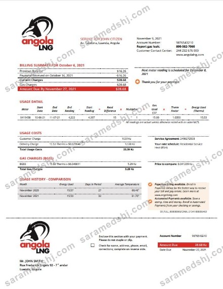 Angola LNG proof of address utility bill template in Word and PDF format